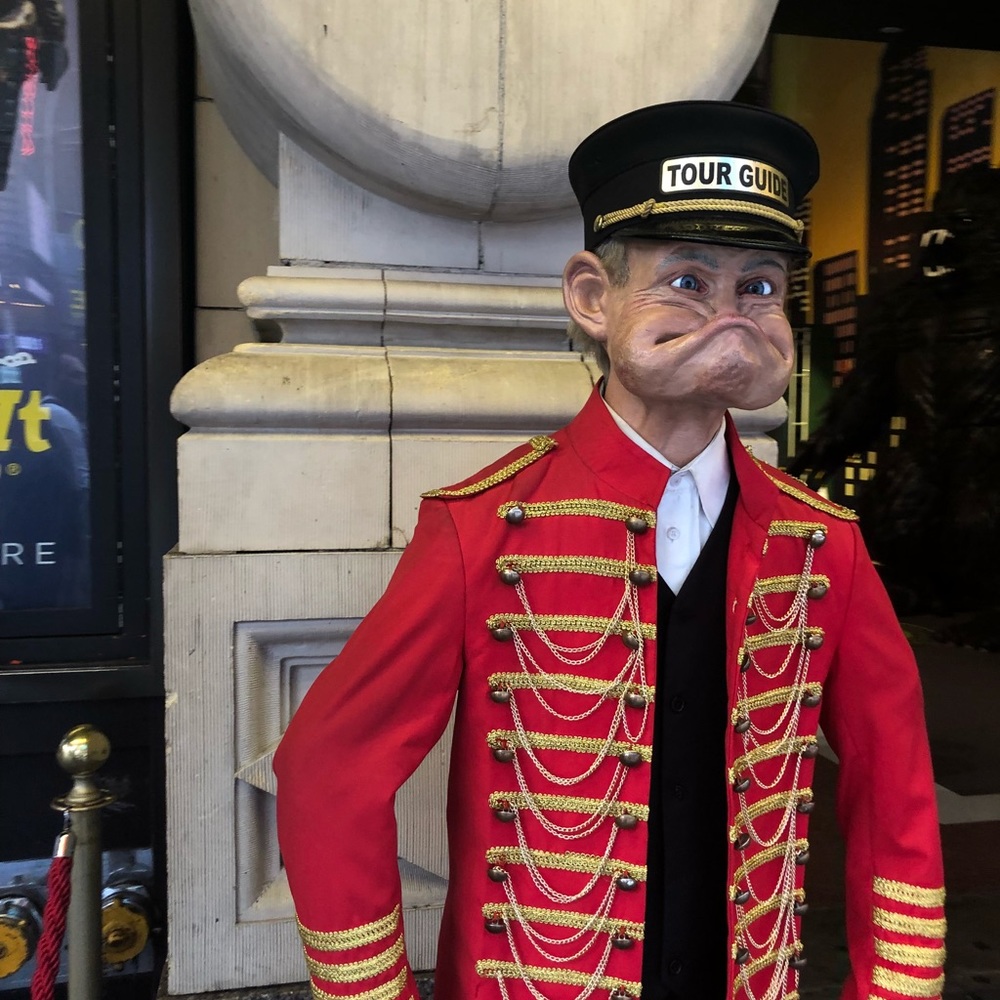 Meet your Posher, Grace